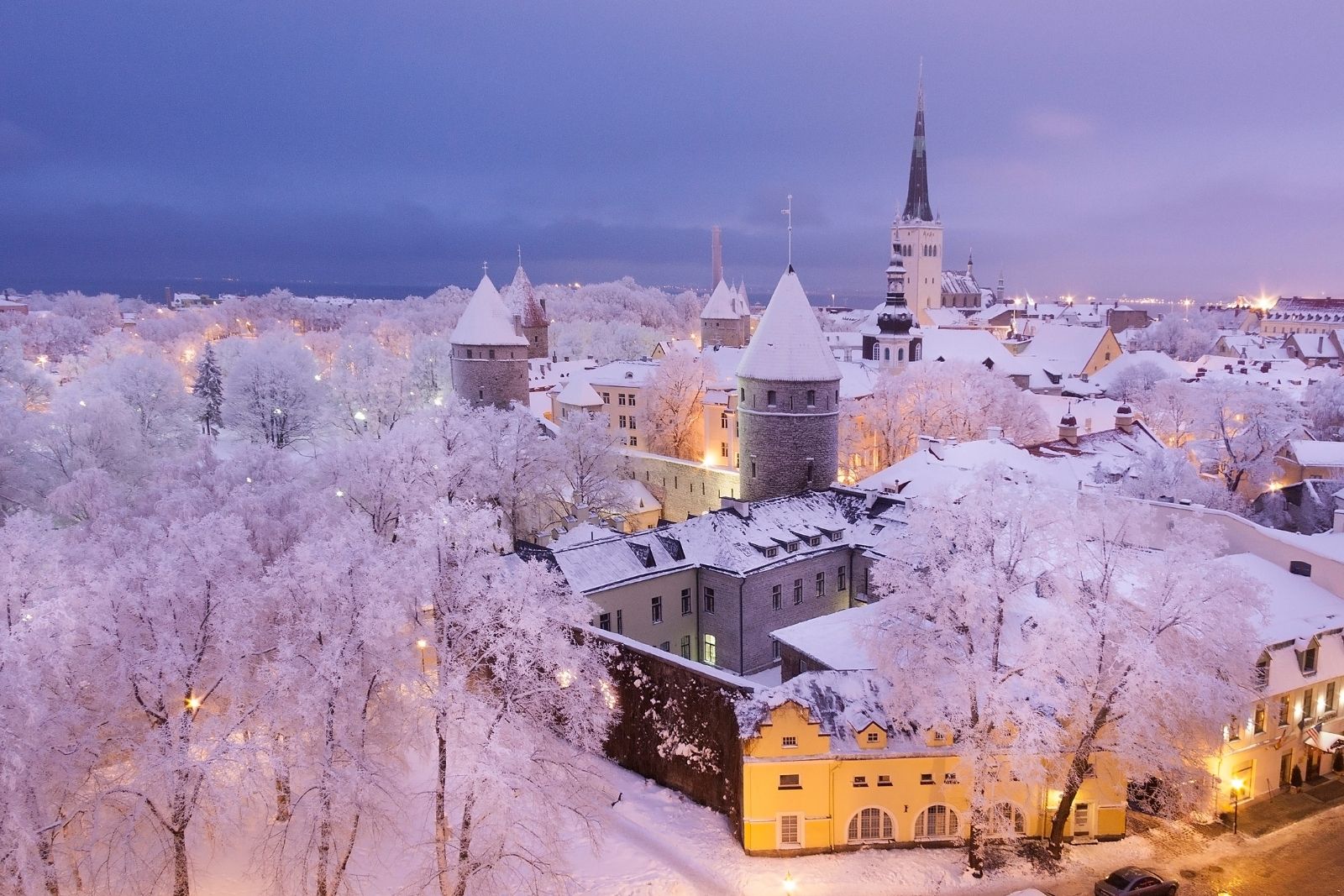 3 steps to start an internship in Estonia